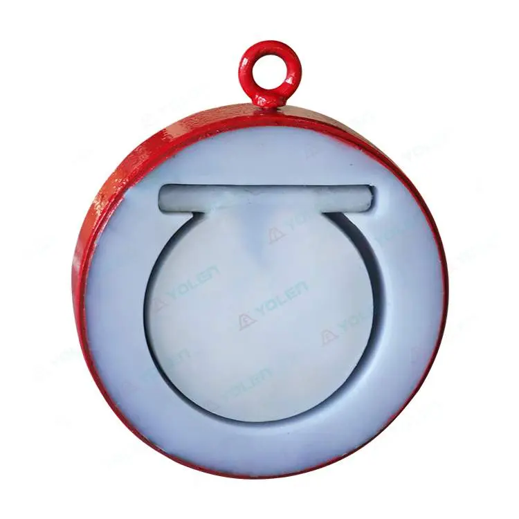 H74 Фторированный вращающийся обратный клапан