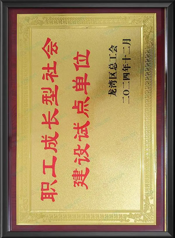 Пилотное учреждение по строительству общества, ориентированного на развитие сотрудников