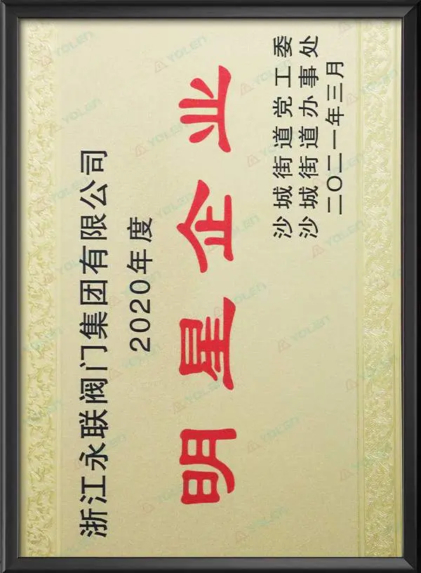 Звездные предприятия района Шачэн за 2020 год