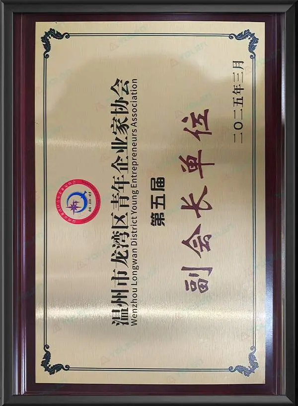 Заместитель председателя Ассоциации молодых предпринимателей района Лунвань города Вэньчжоу